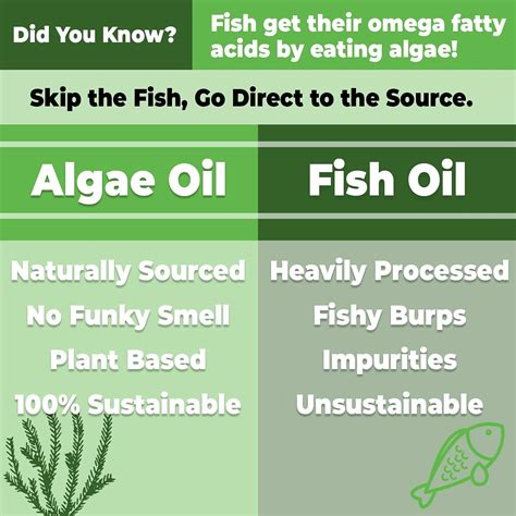 omega 800 vs omega-3|algal oil vs omega 3.